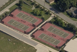 Picture of Intent Painted Bunting Courts