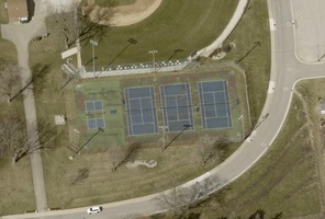 Picture of Selfish Birman Courts