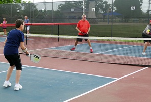 Picture of Near Standard Chinchilla Courts