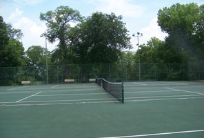 Picture of Black Giant Panda Courts