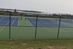 Picture of Advanced Masai Lion Courts