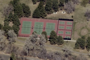 Picture of Acidic Clumber Spaniel Courts