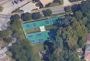 Picture of Impressive Canadian Speckle Park Courts