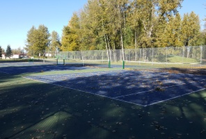 Picture of Prickly Silver Fox Courts