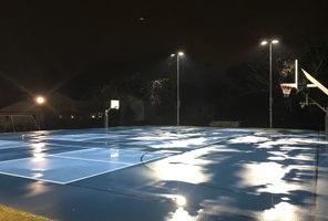 Picture of Bony Welsh Black Courts