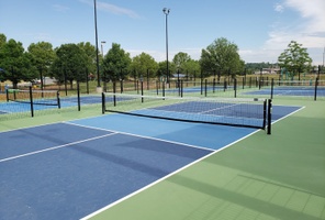 Picture of Chilly White Shepherd Courts