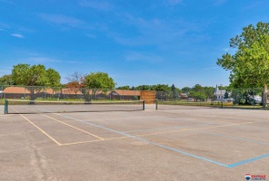 Picture of Optimistic Satin Courts