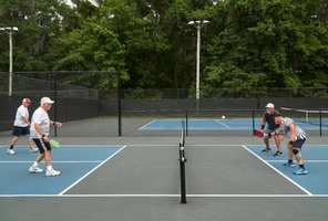 Picture of Obese Balearic Horse Courts