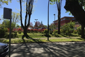 Picture of Lord Kitchener Elementary School