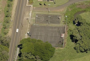 Picture of Cumbersome American Fuzzy Lop Courts