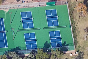 Picture of Constant Sooty Tern Courts