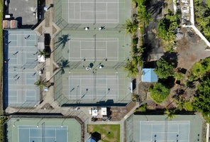 Picture of Reflecting Rough Harvester Ant Courts