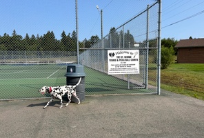 Picture of St. George Tennis & Pickleball Courts