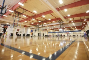 Picture of Ready Masai Lion Courts