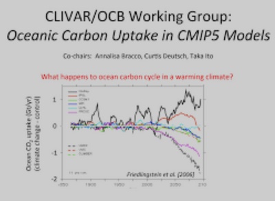 U.S. CLIVAR/OCB Working Group Oceanic carbon uptake in the CMIP5 models