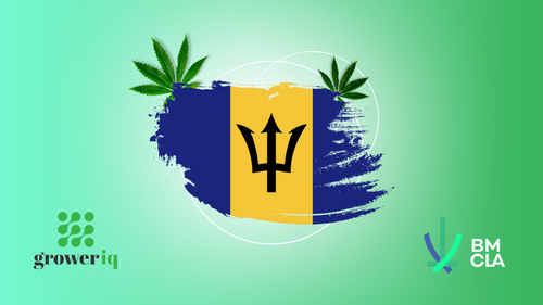 BMCLA & GrowerIQ Partner to Establish Barbados Cannabis Industry