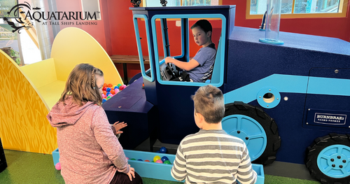 Children Learning and Working About Shipping and Agriculture Industry