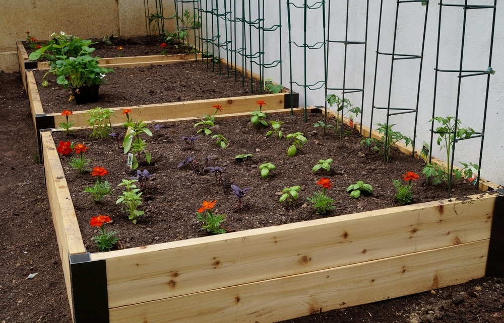 newly built raised garden beds