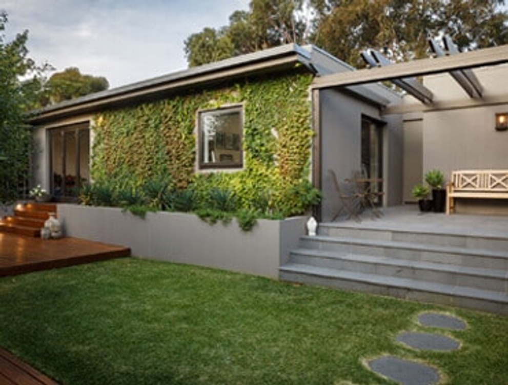 garden with vines on wall