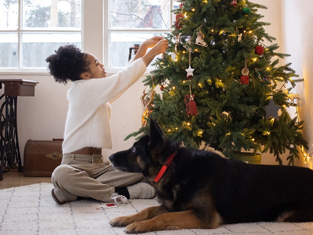 A girl wearing a white sweater decorates her apartment for a holiday party while her pet dog lays in the foreground