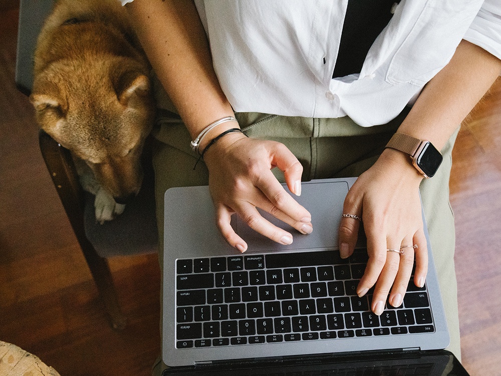 Feminine hands typing on a laptop while a medium tan dog lounges in the chair nearby.
