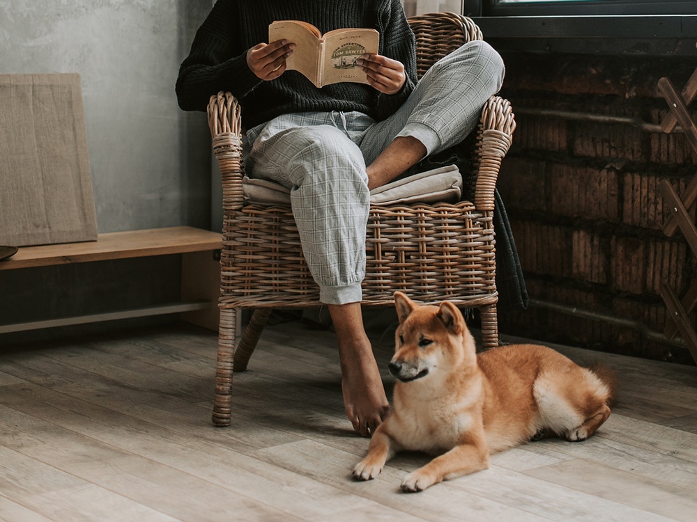 A tan small dogs sits at the foot of a chair while a woman is sitting reading a book.