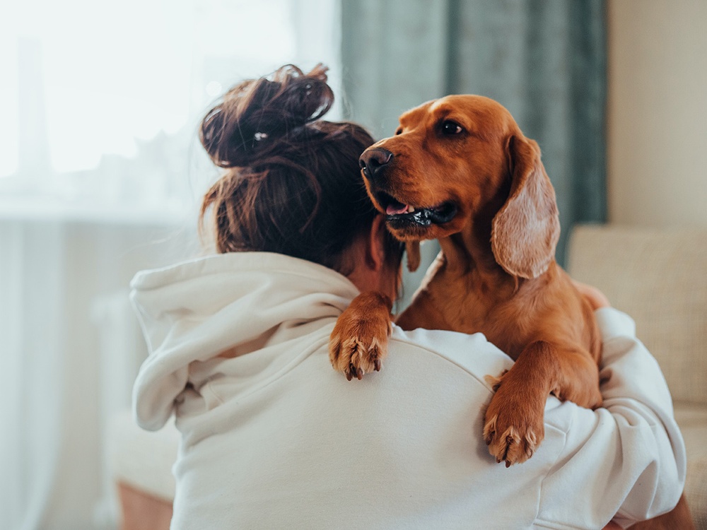 A young woman in a white sweatshirt hugs her hound dog puppy who is looking off image. 