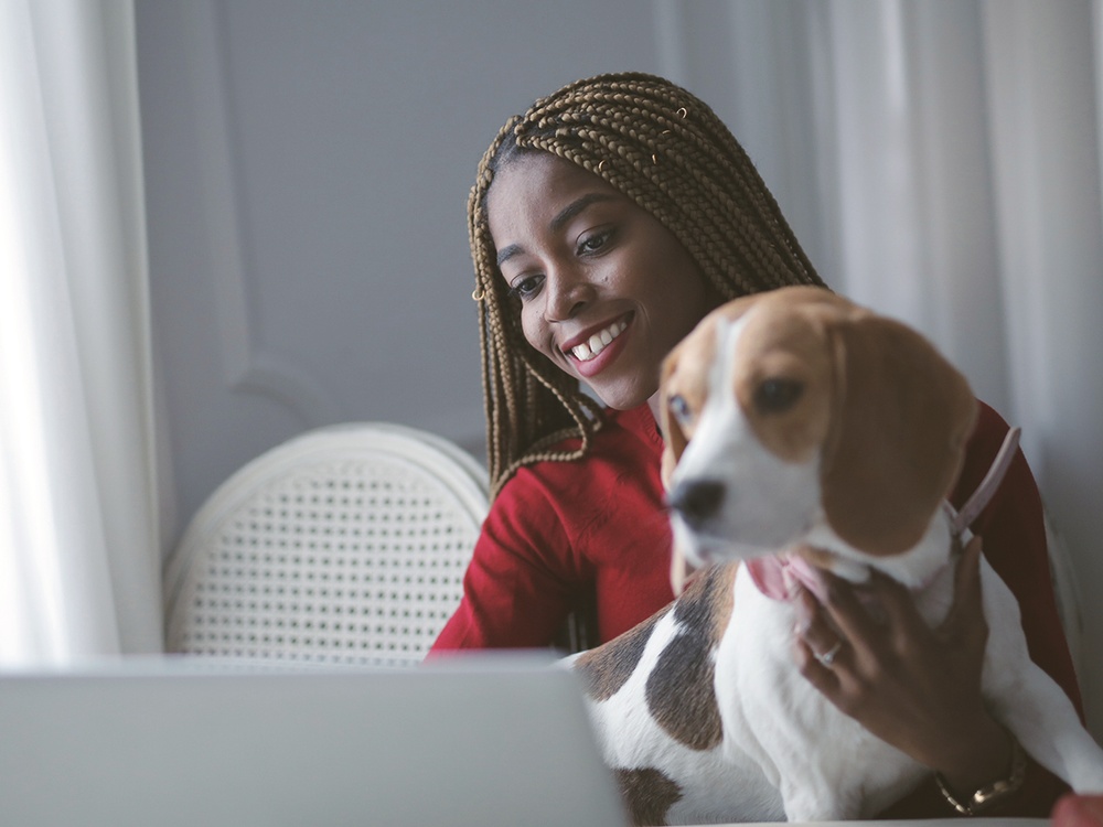 A smiling young woman holds her beagle dog on her lap while talking with a veterinarian online at a virtual visit.
