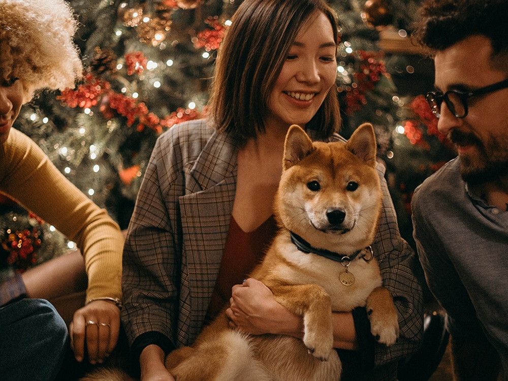 A tan pet dog is surrounded by several people at a pet-safe holiday party, all illuminated by the holiday lights 
