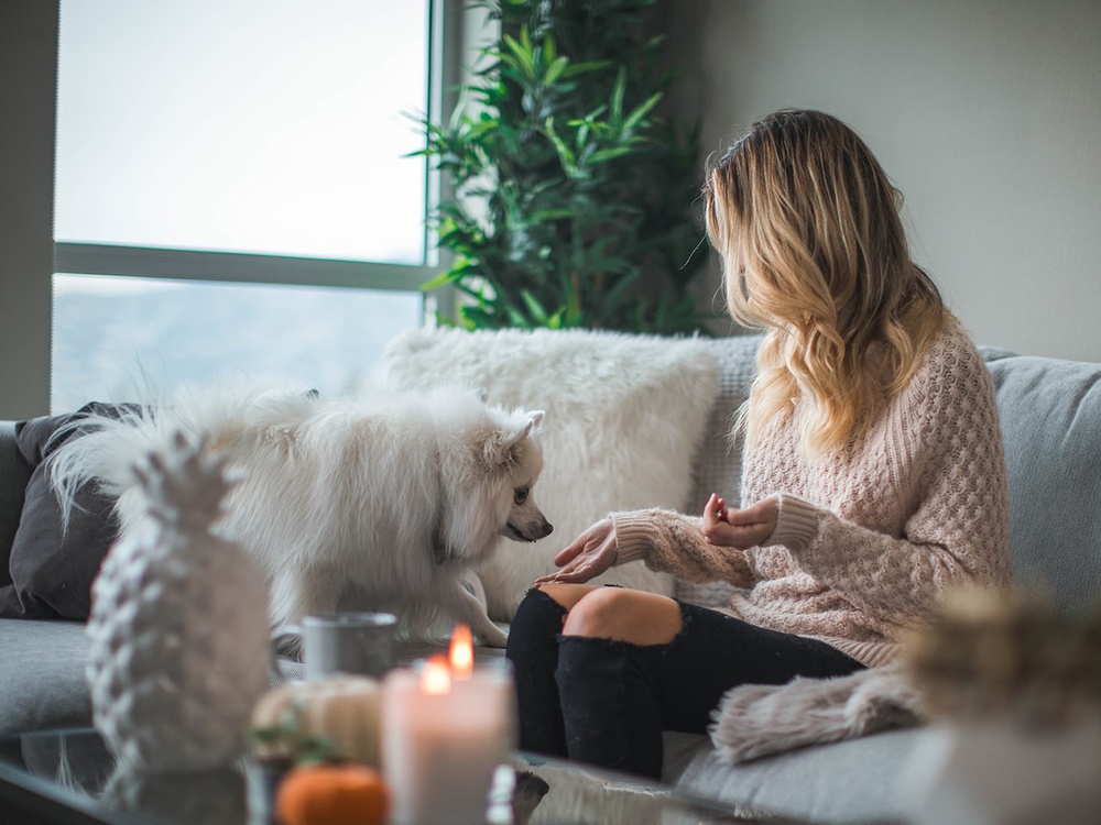 A blonde woman in a neutral sweater reaches her hand out towards a nervous pomeranian in a tastefully decorated living room