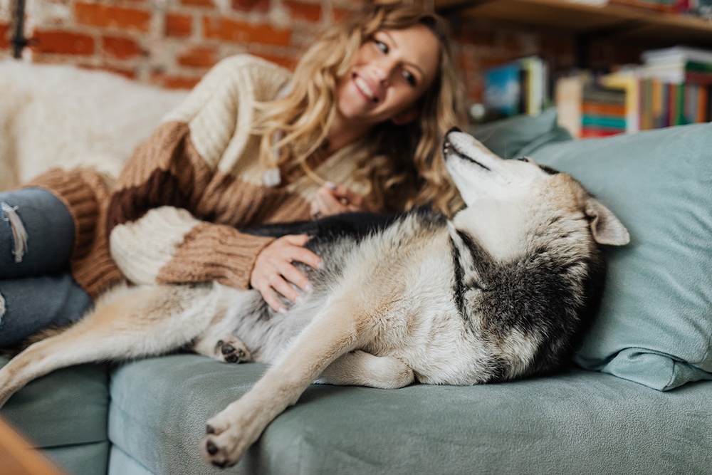 Laying on a sofa together, a woman smiles at her husky dog while petting its belly.