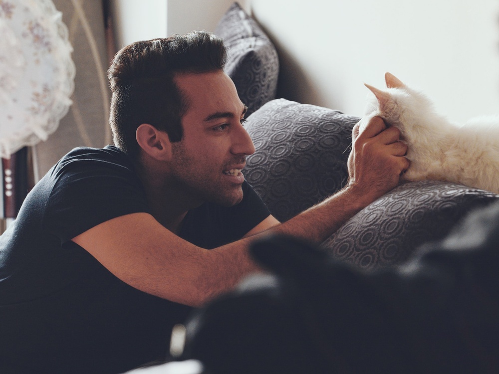 A dark haired man reaches to pet the face of a cream long hair cat sitting on a gray sofa.