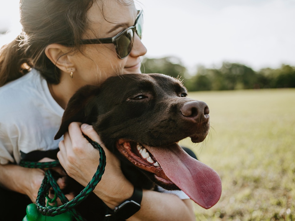 A female pet sitter hugs a chocolate lab dog gently while in a grassy sunny area. The dog and woman are both very happy