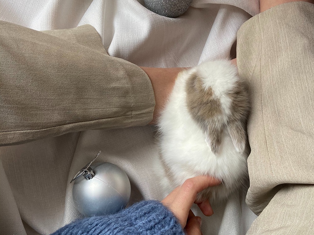 A white bunny is gently pet by a feminine hand while surrounded by christmas ornaments on a neutral bedding background.