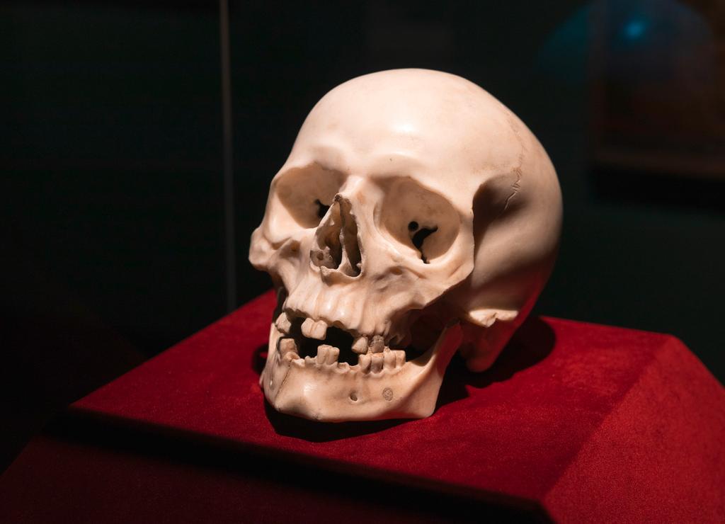 Claudia Kryza-Gersch Staatliche Kunstsammlungen Dresden Bernini Skull Meet the Experts | TEFAF | The European Fine Art Foundation