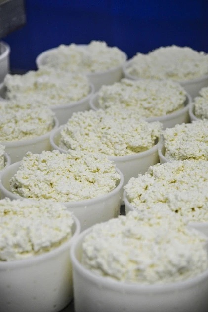 Le fromage blanc faisselle 6x100g