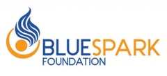 Blue Spark Foundation