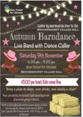 New Forest For Ukraine  Barn Dance