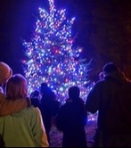 Tree of Light Celebration 