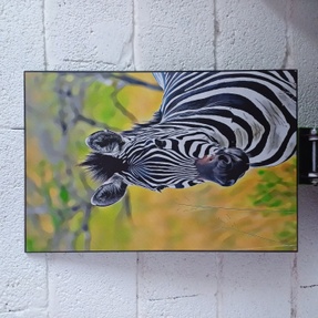 Plains Zebra Portrait Wall Art
