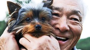 What Dogs Teach Us About Aging