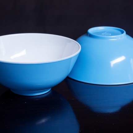 Set of 2 Microwave Safe Picnic Bowls