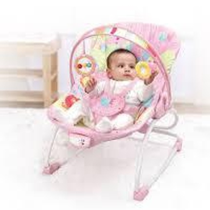 Newborn to sales toddler rocker mastela