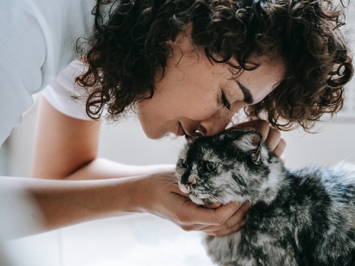 How To Leave Your Cat Or Dog With A Pet Sitter