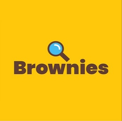 9th Chandlers Ford Brownies