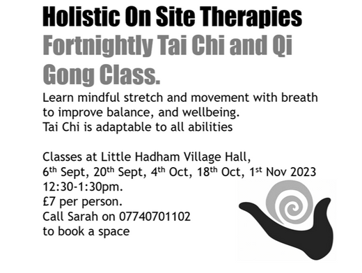 Tai Chi and Qi Gong Class - Alternate Wednesdays