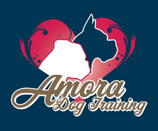 Amora Puppy School