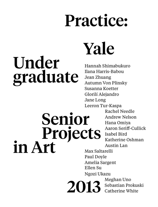 Still image of the poster for "Practice" the 2013 Senior Thesis Show at Yale School of Art.