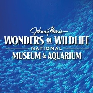 Johnny Morris: Here's when grand opening of WOW Museum and Aquarium will be