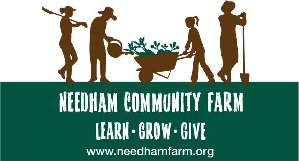 Food Pantry - Needham Community Council